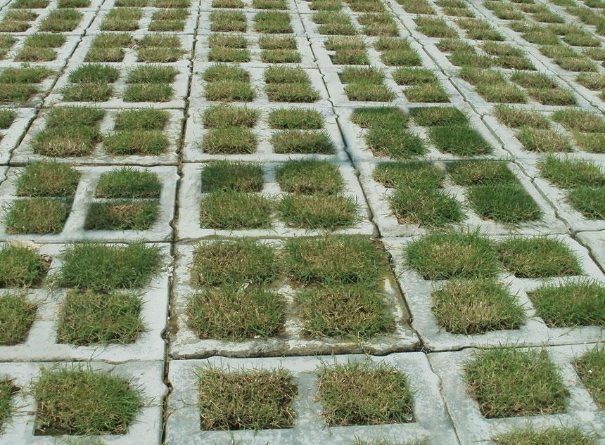 Grass Paver Tile